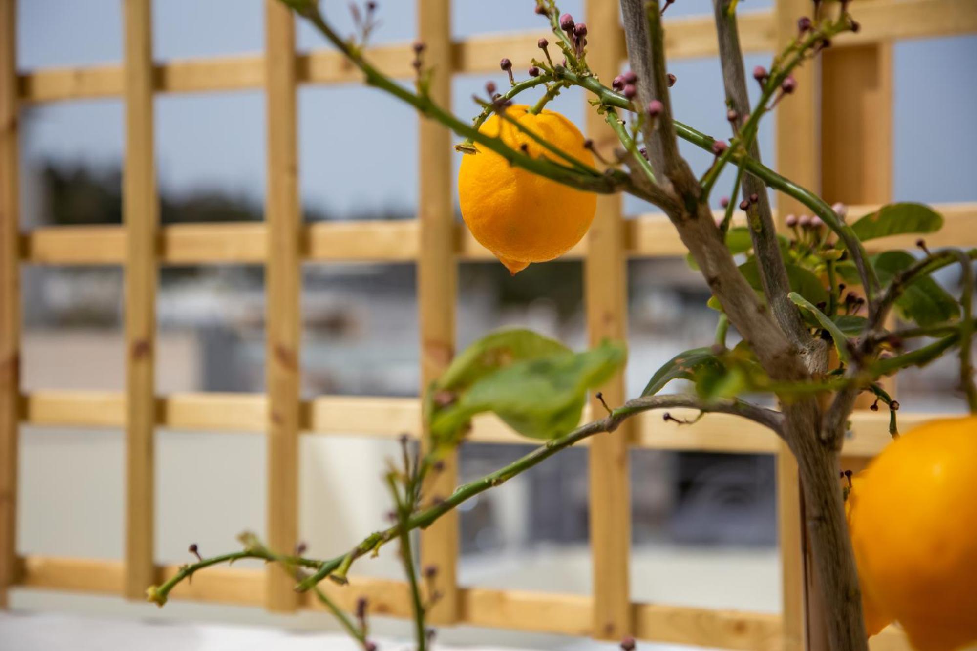 Thalia By Heloni Apartments أثينا المظهر الخارجي الصورة